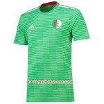 Maillot/Tenue Algérie Exterieur 2018
